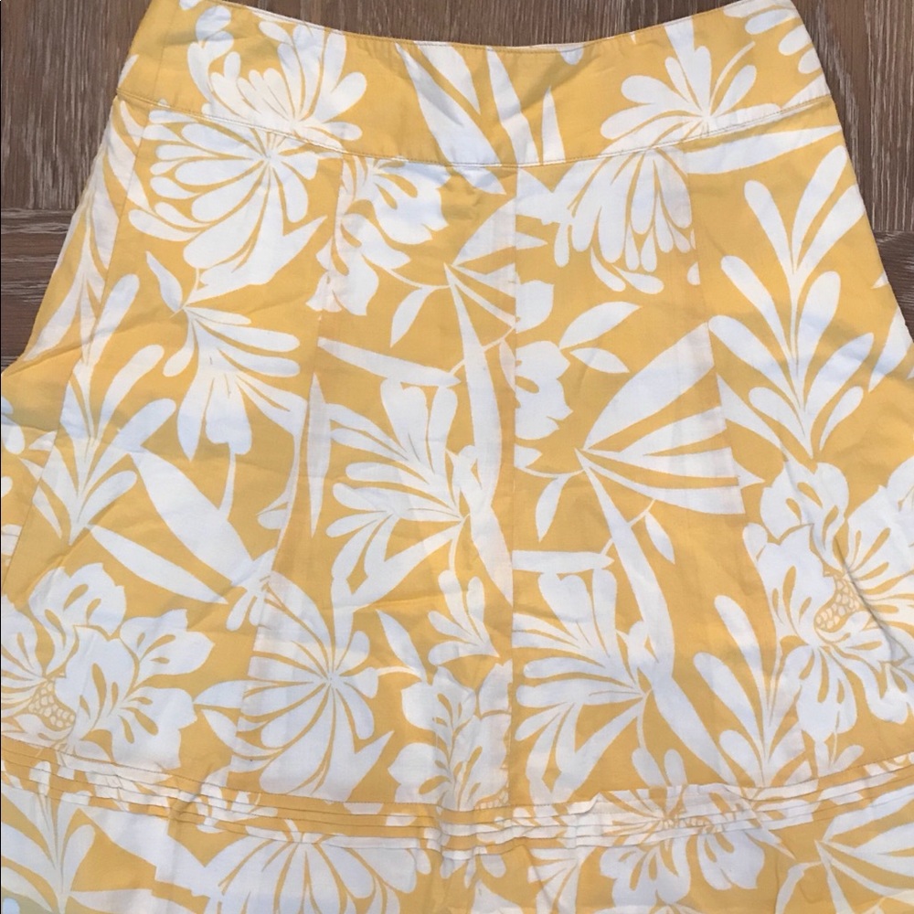 Ann Taylor LOFT skirt, size 2